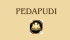 Pedapudi Logo